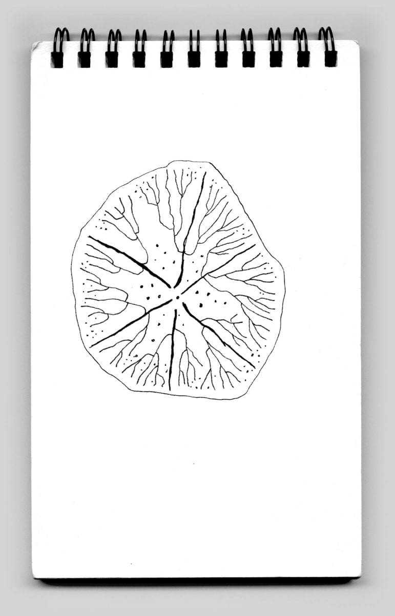 Untitled (book 32, sketch 01) 