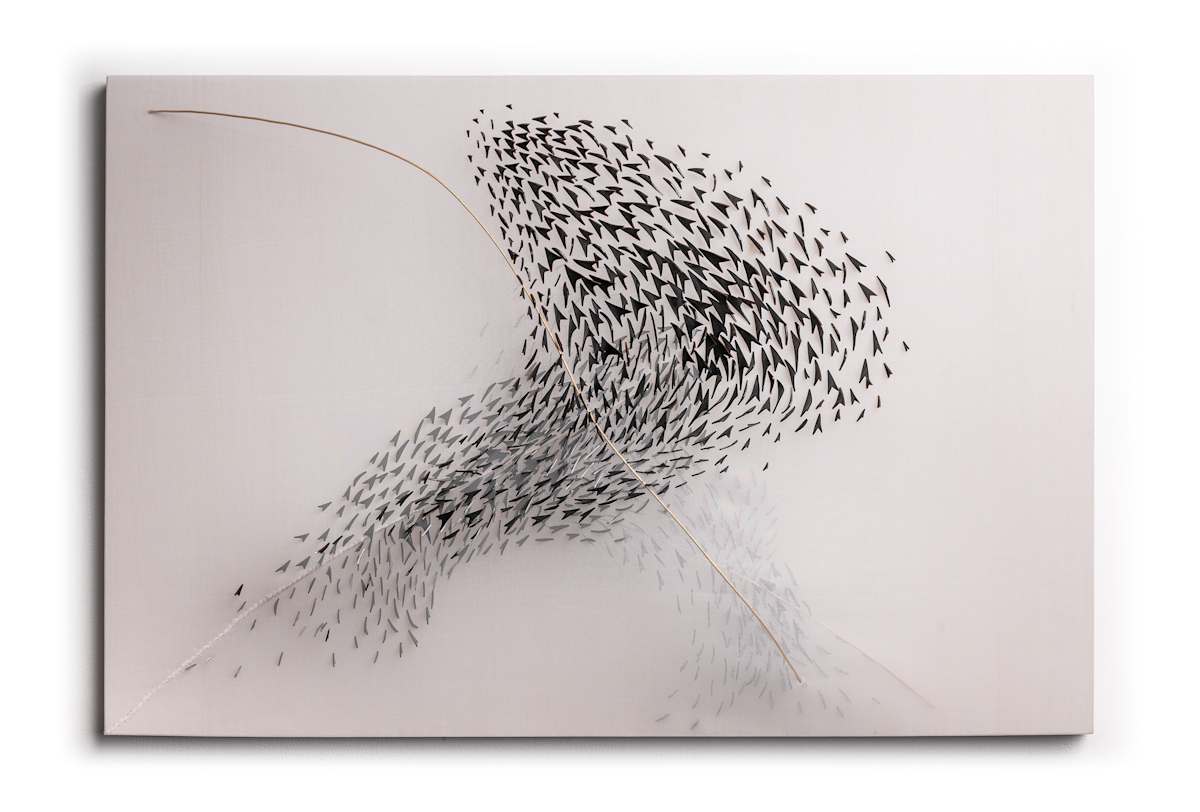 Birds of a Feather Flock Together by Natale Adgnot 