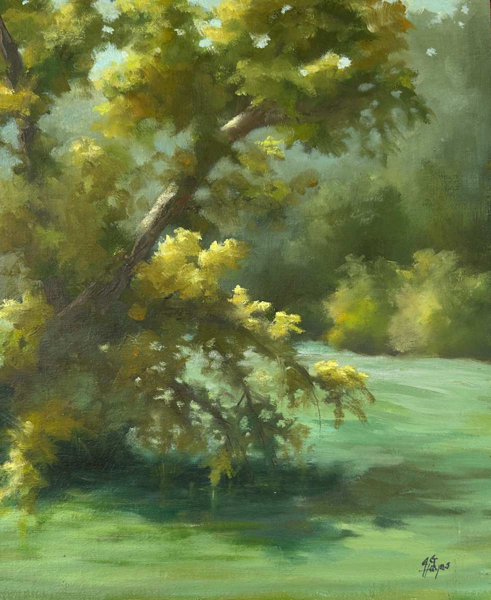 Afternoon Along the Mulberry River by Julie Gowing Hayes 