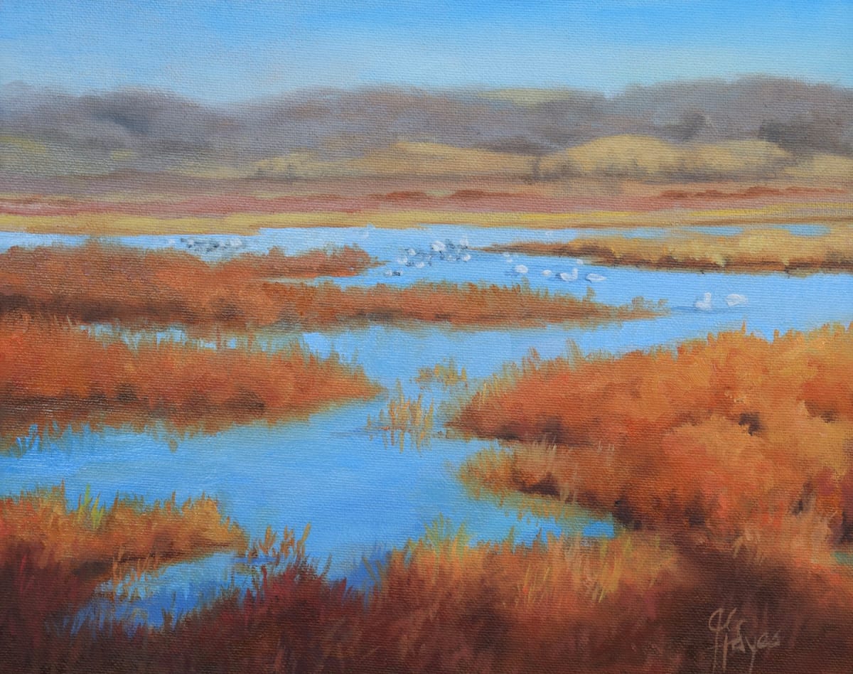 Flyway Stopover by Julie Gowing Hayes 