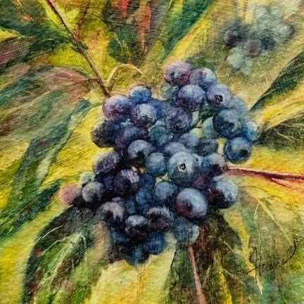 Elderberries by Julie Gowing Hayes 