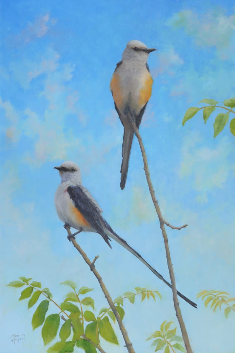The Sky's the Limit, Scissortail Flycatchers by Julie Gowing Hayes 
