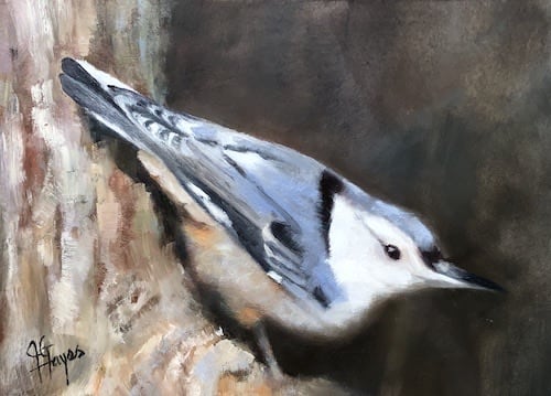 Woodland Forager (White-Breasted Nuthatch female) by Julie Gowing Hayes 