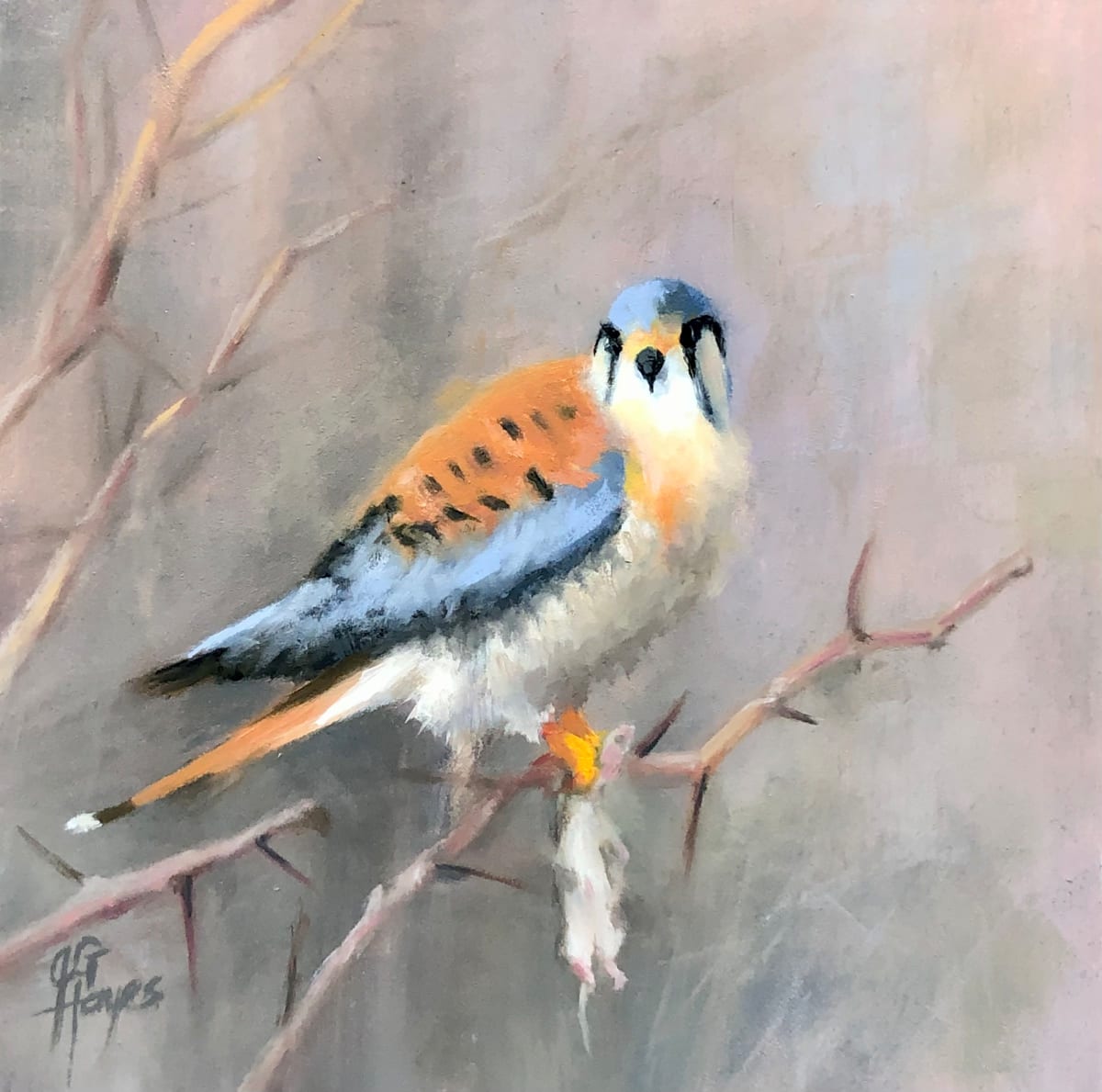 Happy Hunter,  an American Kestrel by Julie Gowing Hayes 