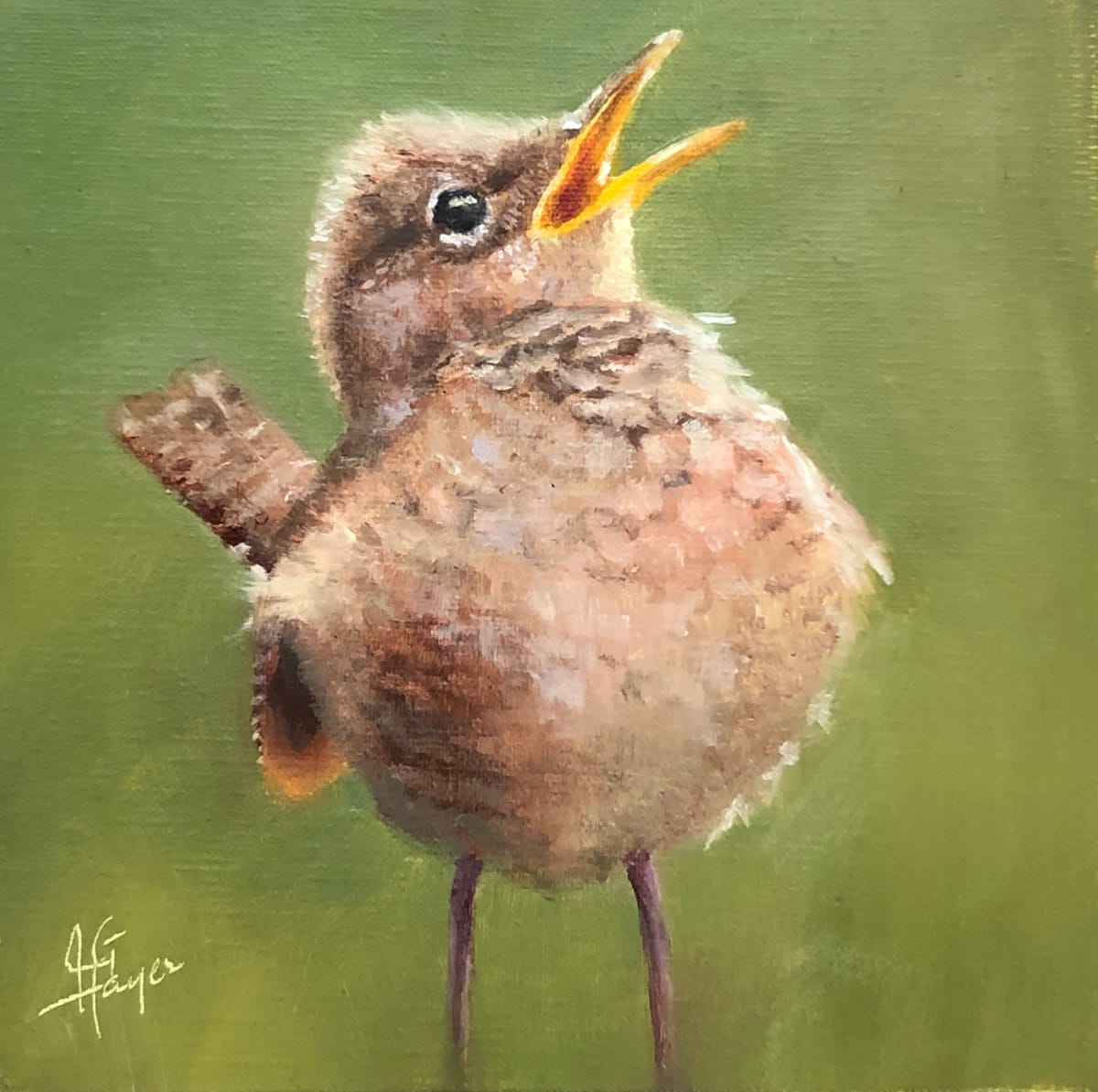 Sing to the Lord! by Julie Gowing Hayes  Image: Baby House Wren testing its voice