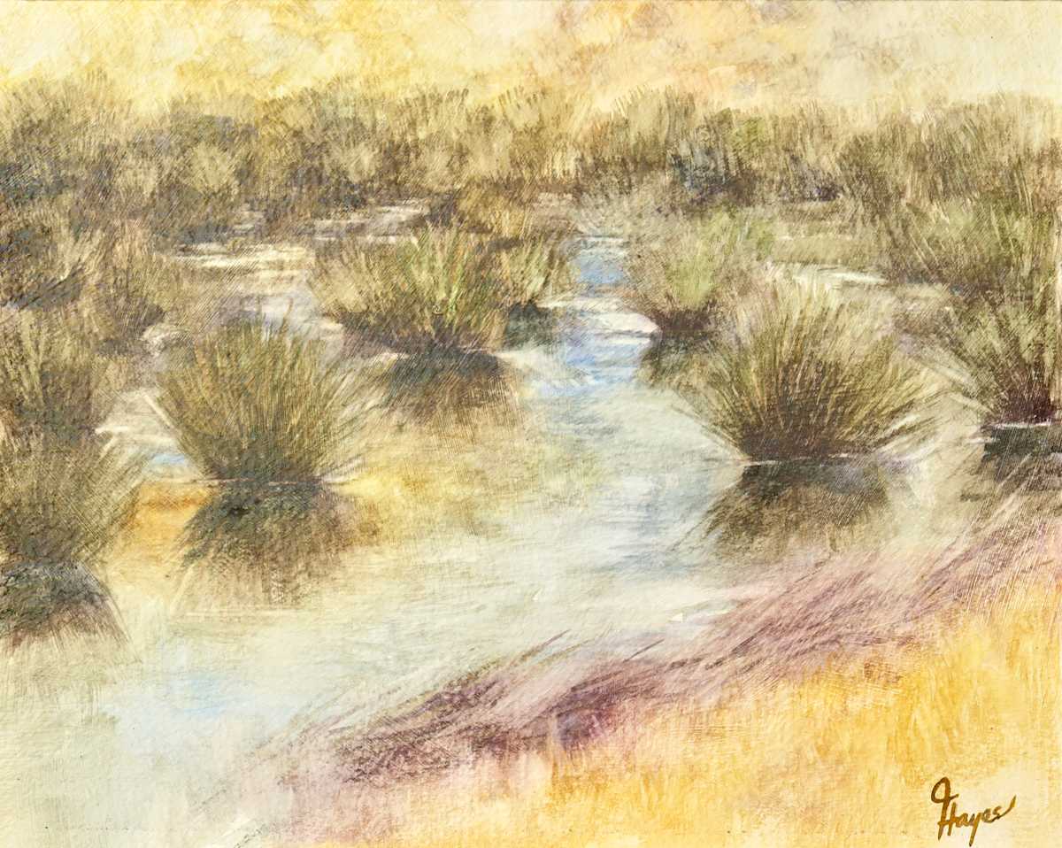 The Marsh at Price Park by Julie Gowing Hayes 
