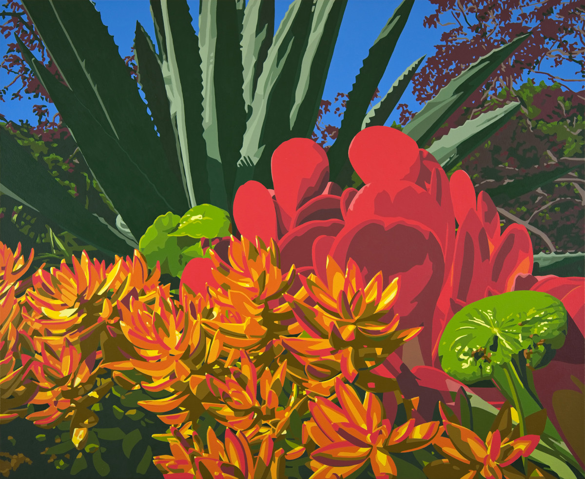 Downtown Succulents by Lindsey Warren 