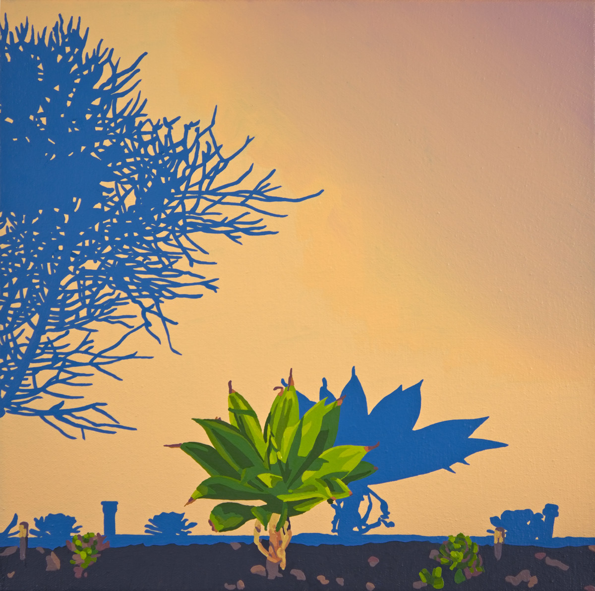 Highland Park Shadows by Lindsey Warren 