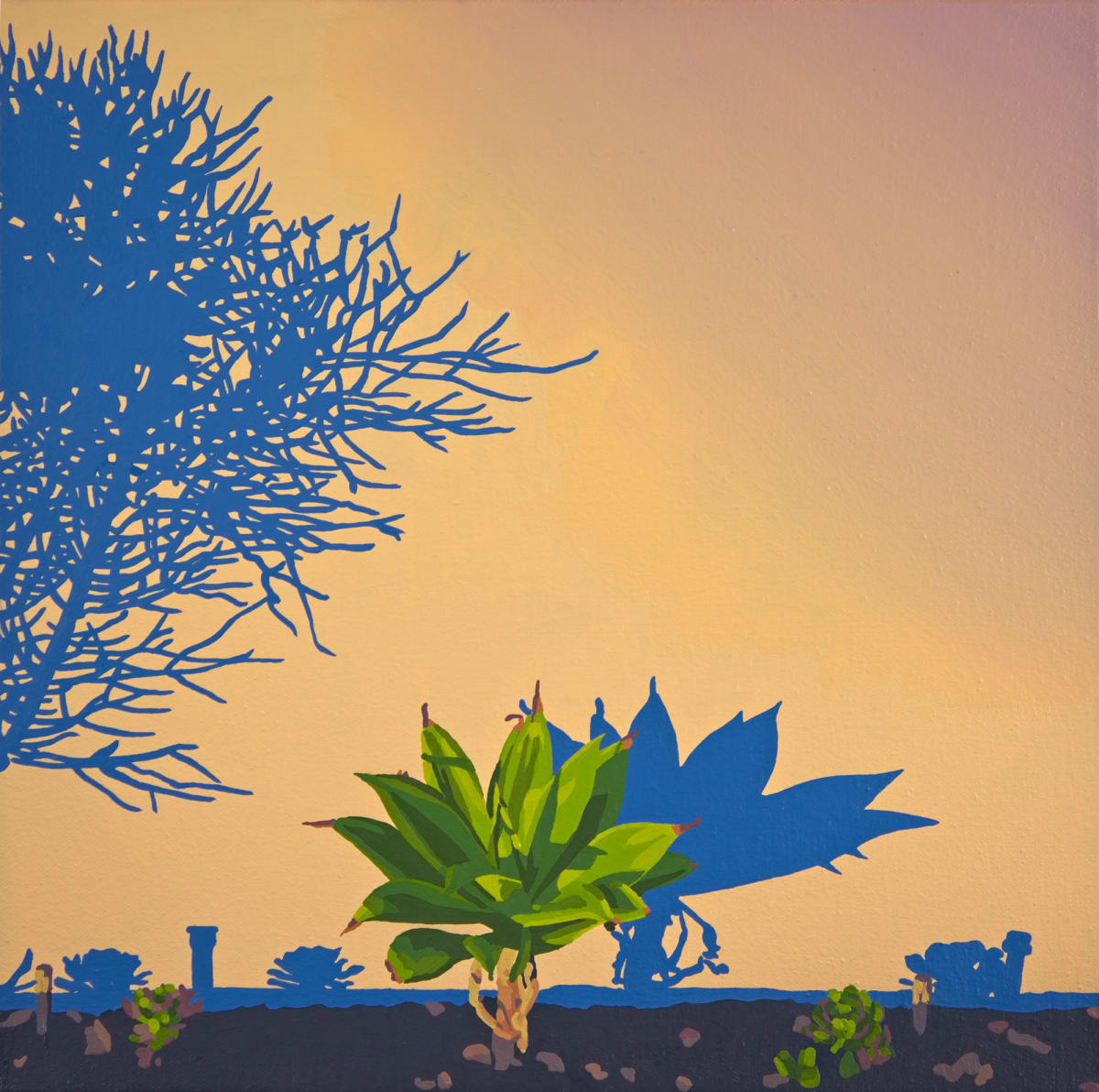 Highland Park Shadows by Lindsey Warren, Image 1.