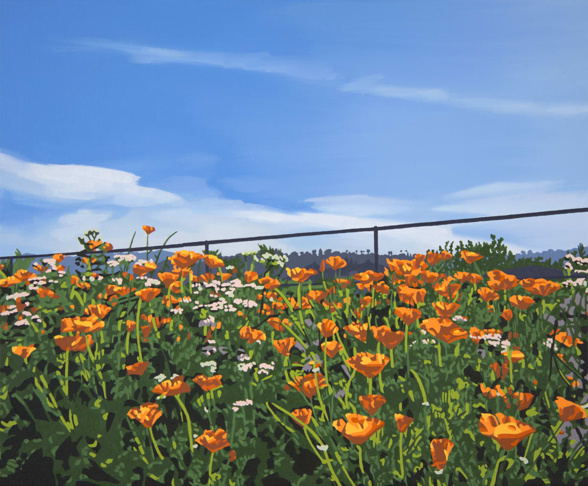 River Poppies by Lindsey Warren 