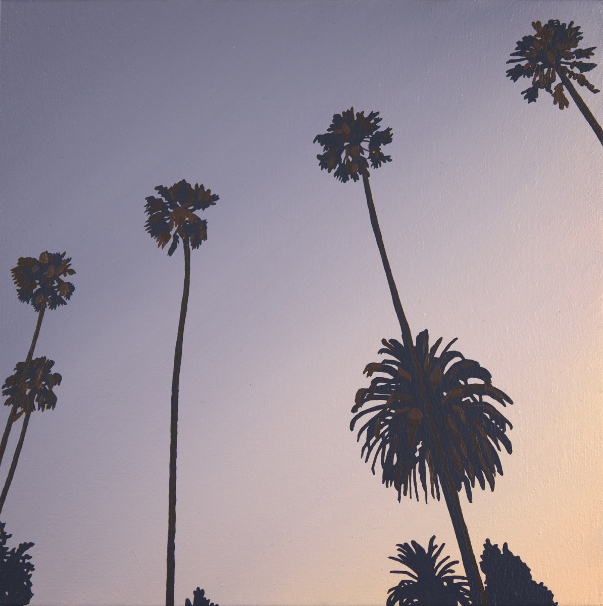 Hollywood Palms by Lindsey Warren 