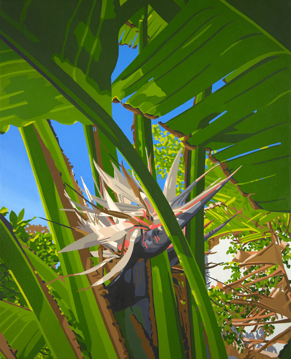 Van Nuys Paradise by Lindsey Warren 