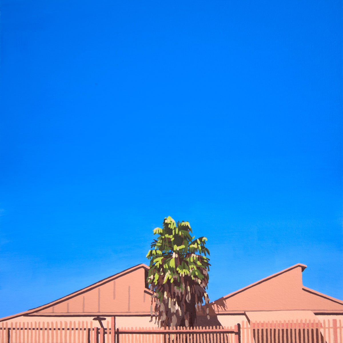 Vernon Palm by Lindsey Warren 