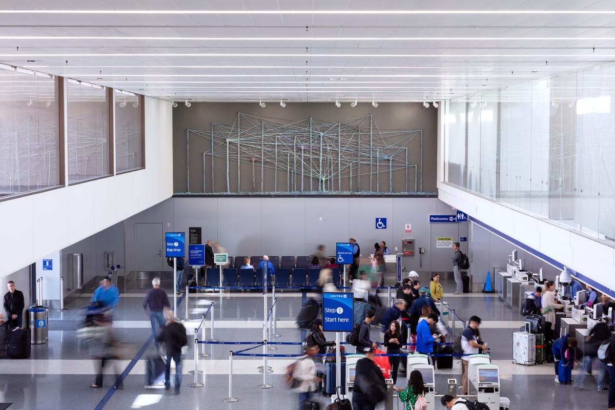 The Letting Go by Debra Scacco 