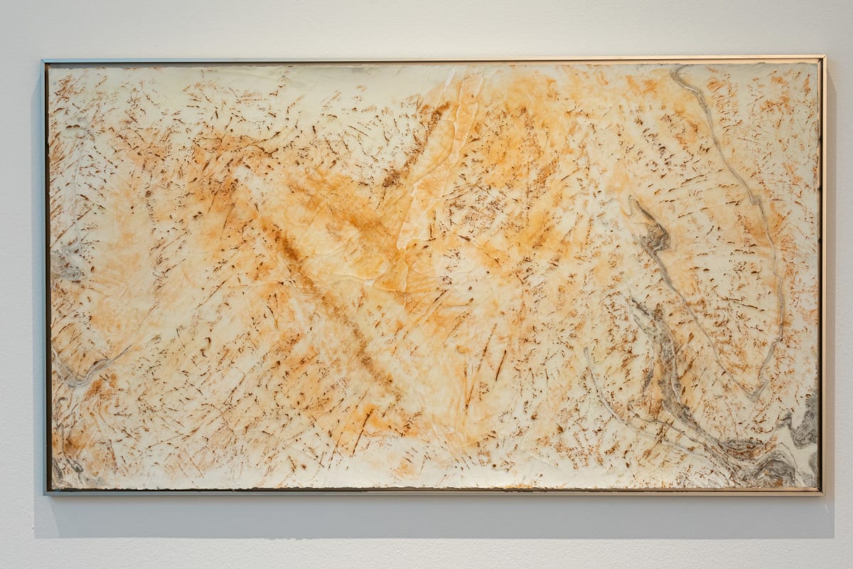 Castaic by Debra Scacco  Image: Castaic (2024)