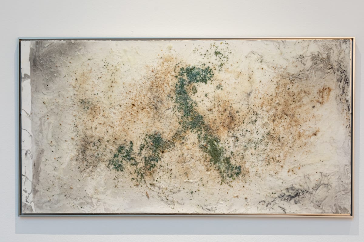 Powell by Debra Scacco  Image: Powell (2024)