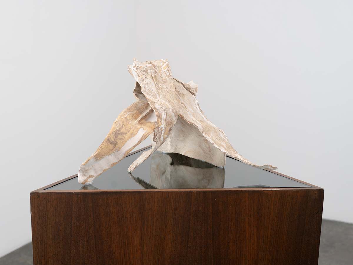 Pattern Beneath the Surface by Debra Scacco 