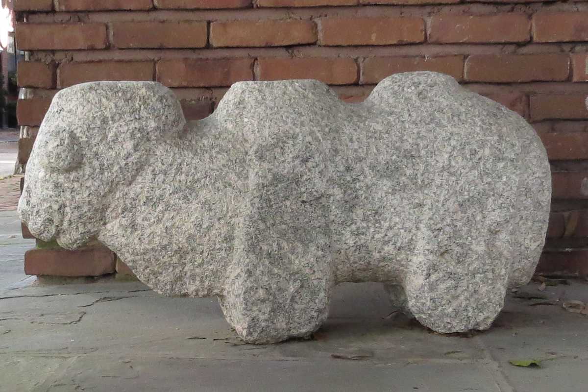 Camel by China, Image 1.
