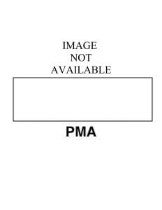 Untitled by Minie Evans 