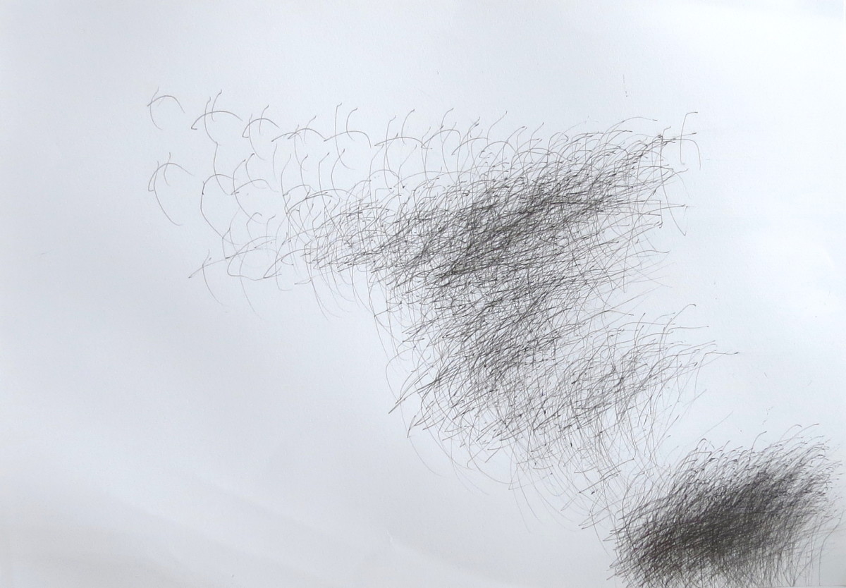 TV Champion by Yuichi Saito 