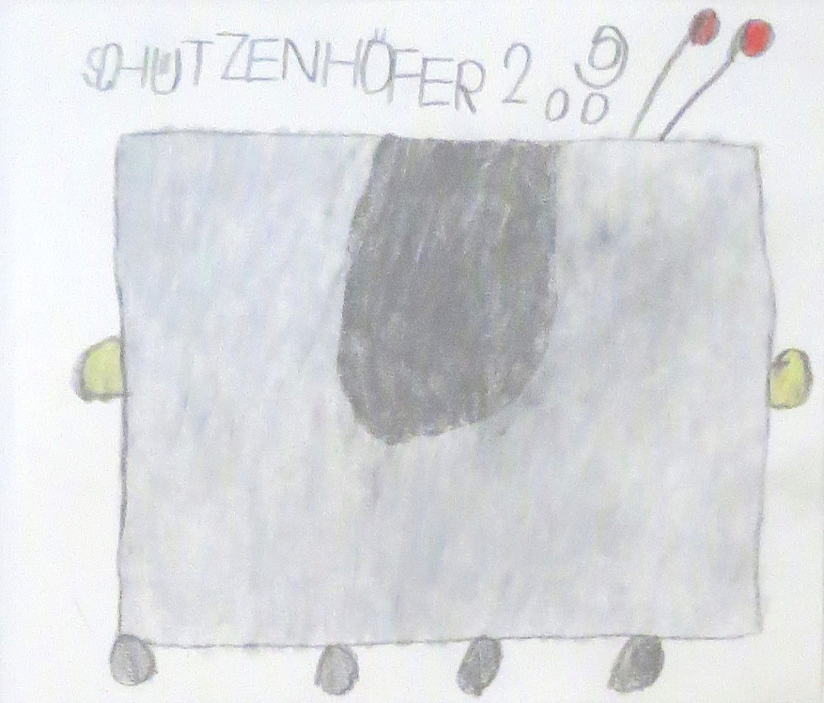 Radio by Gunther Shutzenhofer 