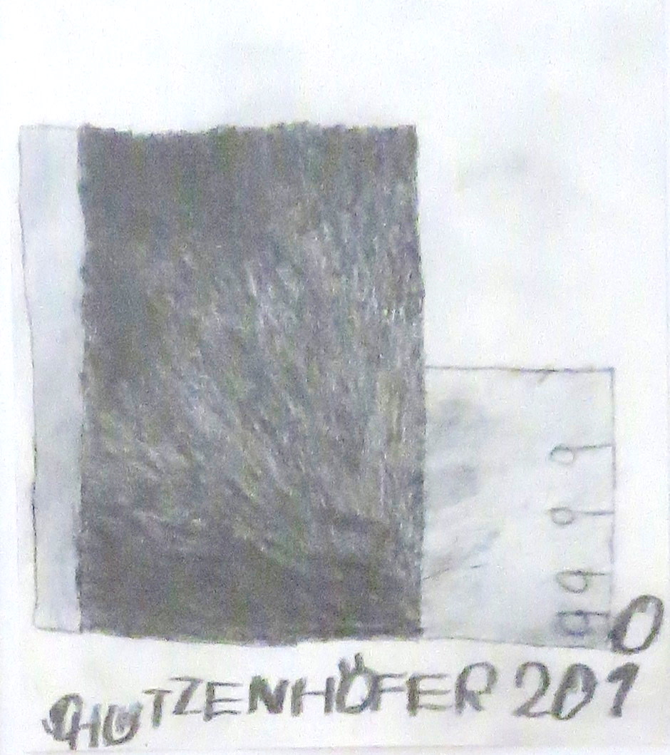 Untitled by Gunther Shutzenhofer, Image 1.