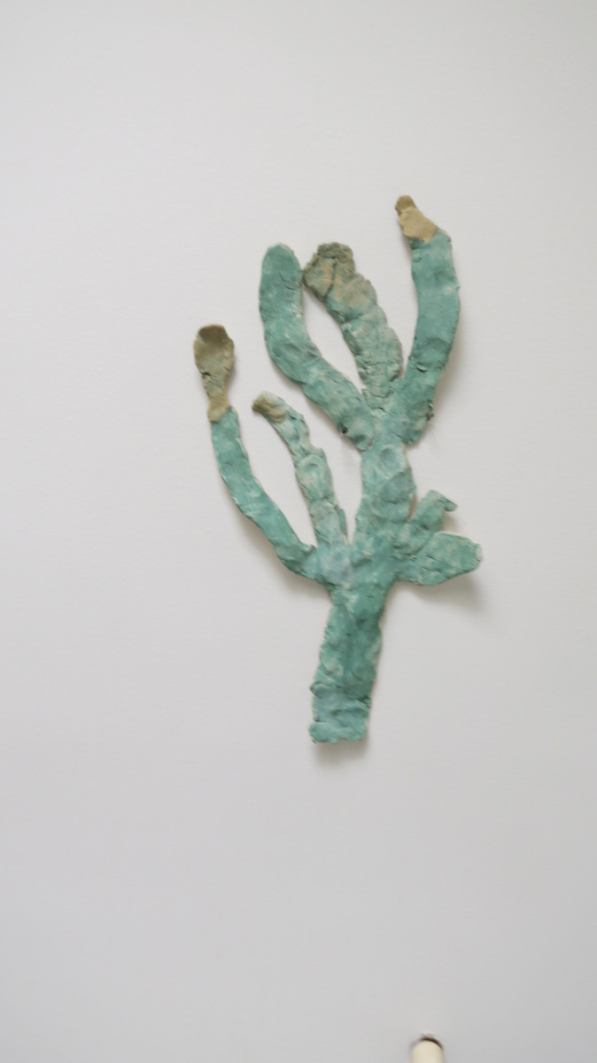 Cactus by Unidentified 