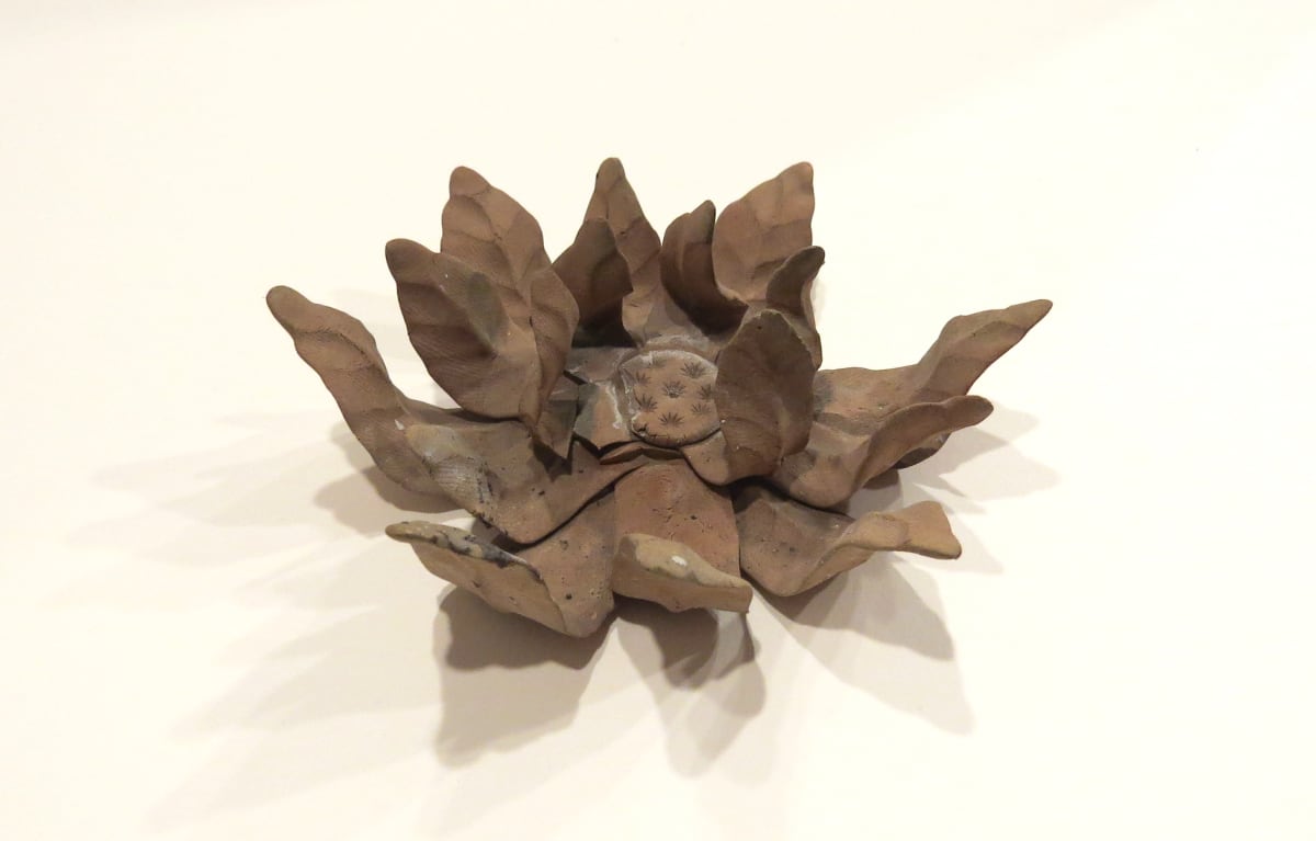 Untitled Flower by Eugene  Von Bruenchenhein 