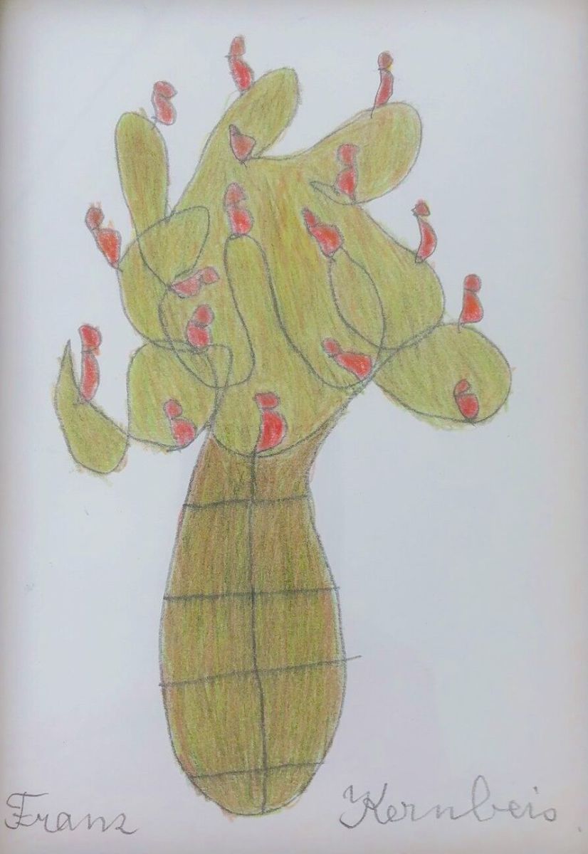 Cactus by Franz Kernbeis 