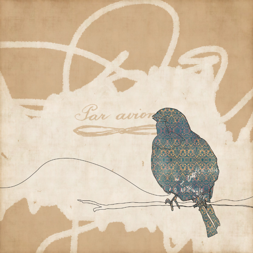 Pan Avion by AlZahraa 