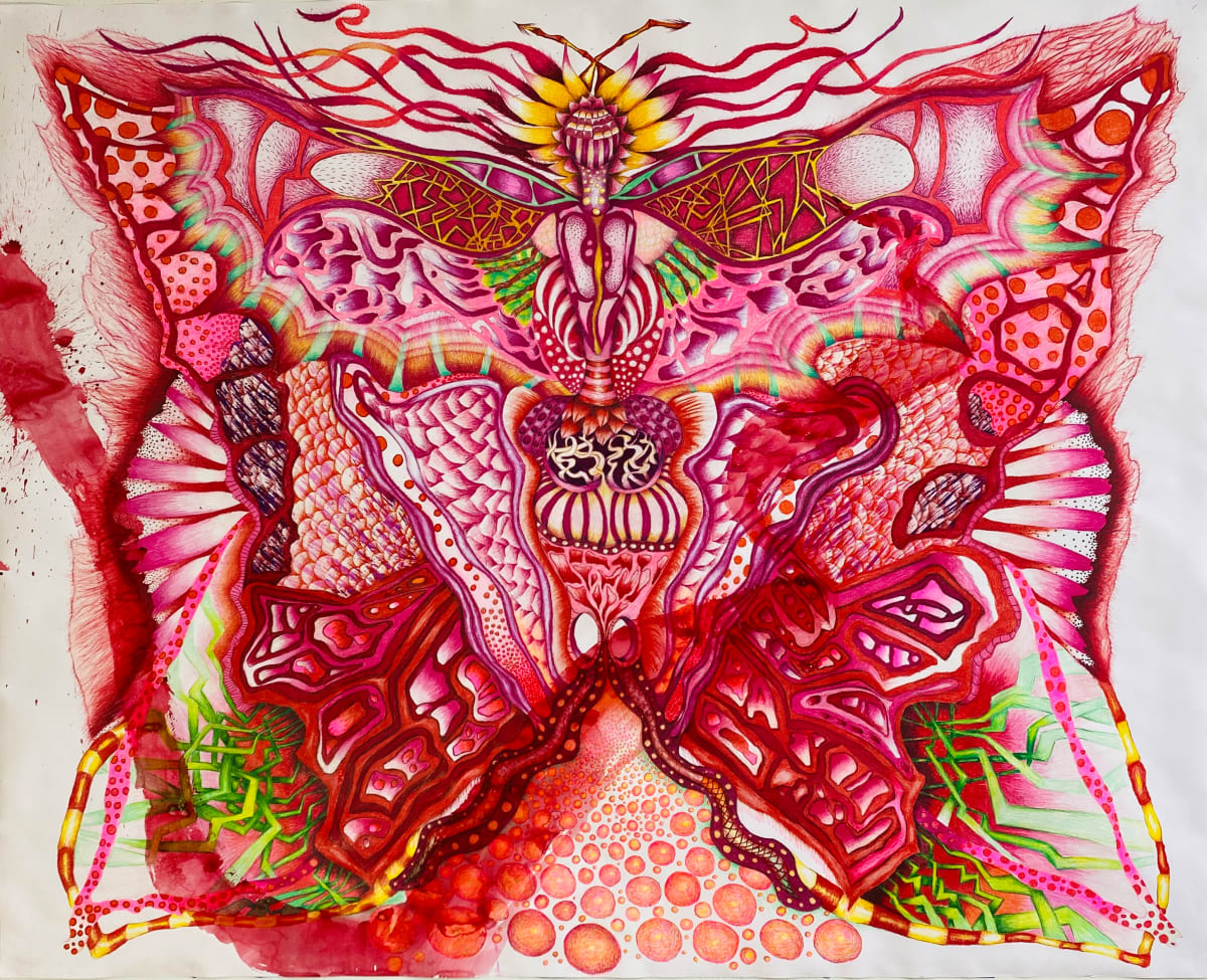 Pulmonem Papilio by Kaye Freeman 