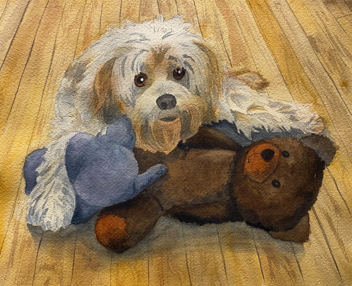 Meli by Cheryl Dinsdale 