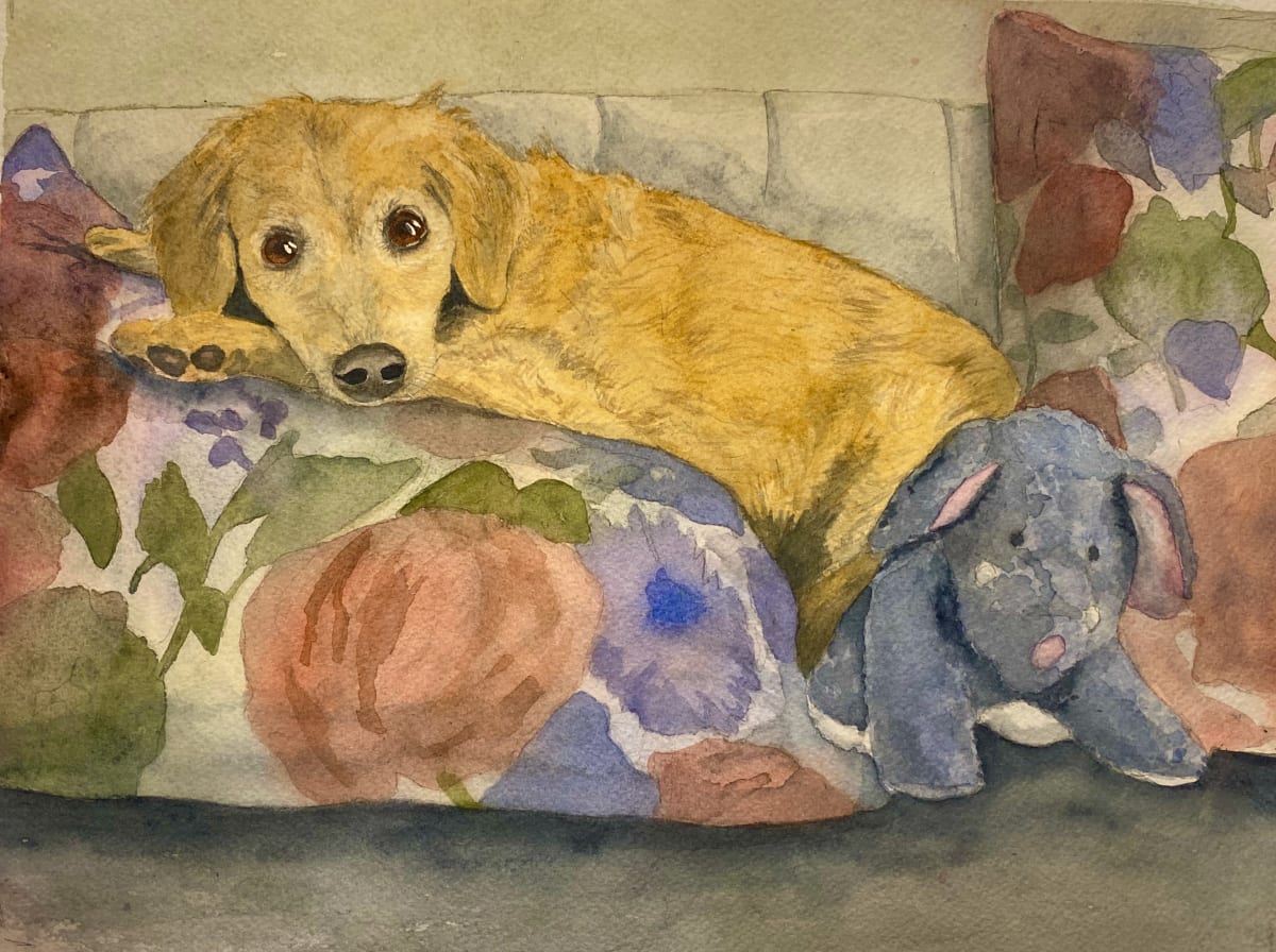 Takoda by Cheryl Dinsdale 