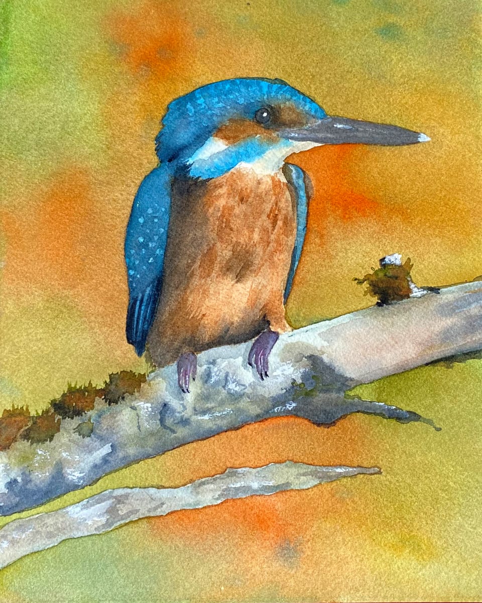Kingfisher by Cheryl Dinsdale 