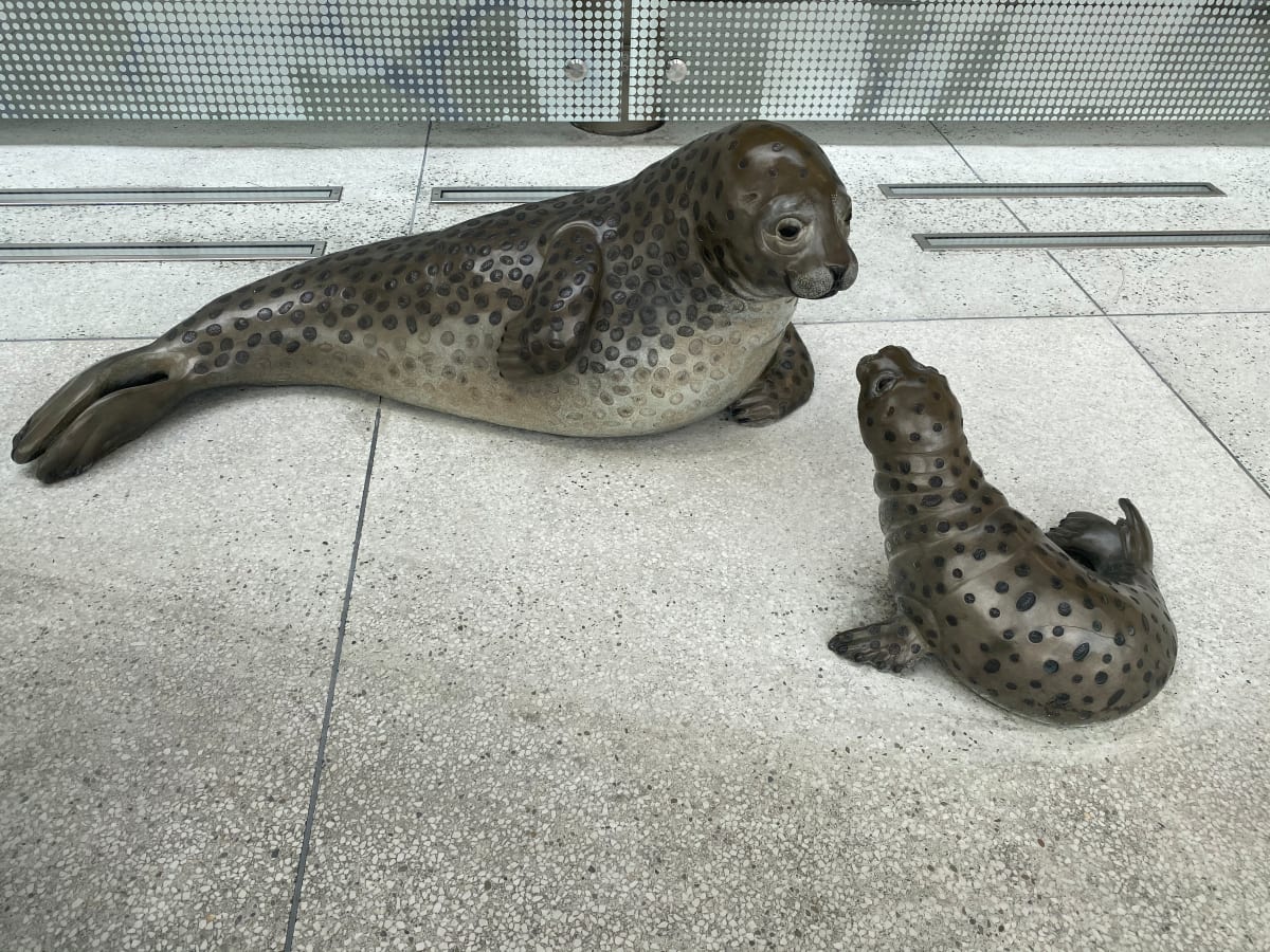 Harbor Seals 1 by Pokey Park 