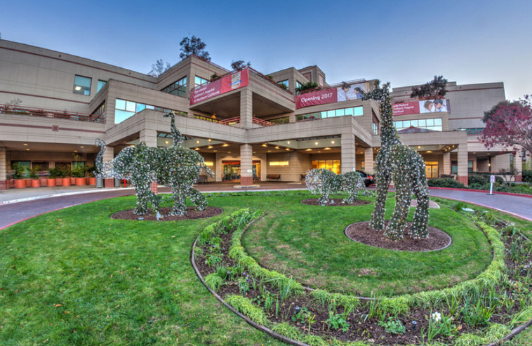 Circle of Friends Topiary Installation by James Mason 