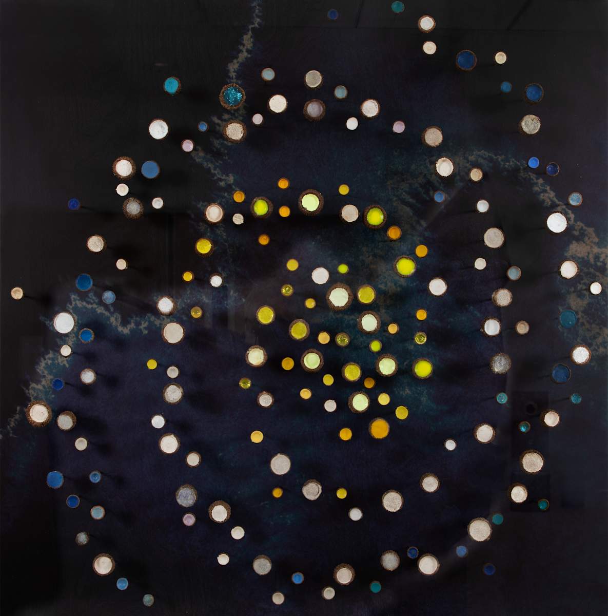 Cosmos by Julie Maren 