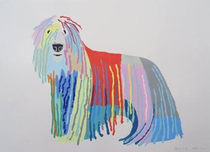 Komondor by Andy Shaw 