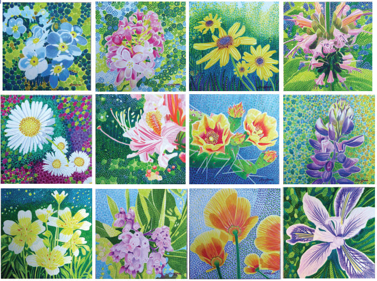 Capturing California's Native Colors by Judy Lew Loose, Image 1.
