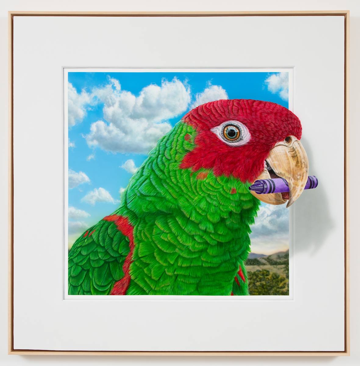 Red Headed Crayola Eater by Bruce Evans 