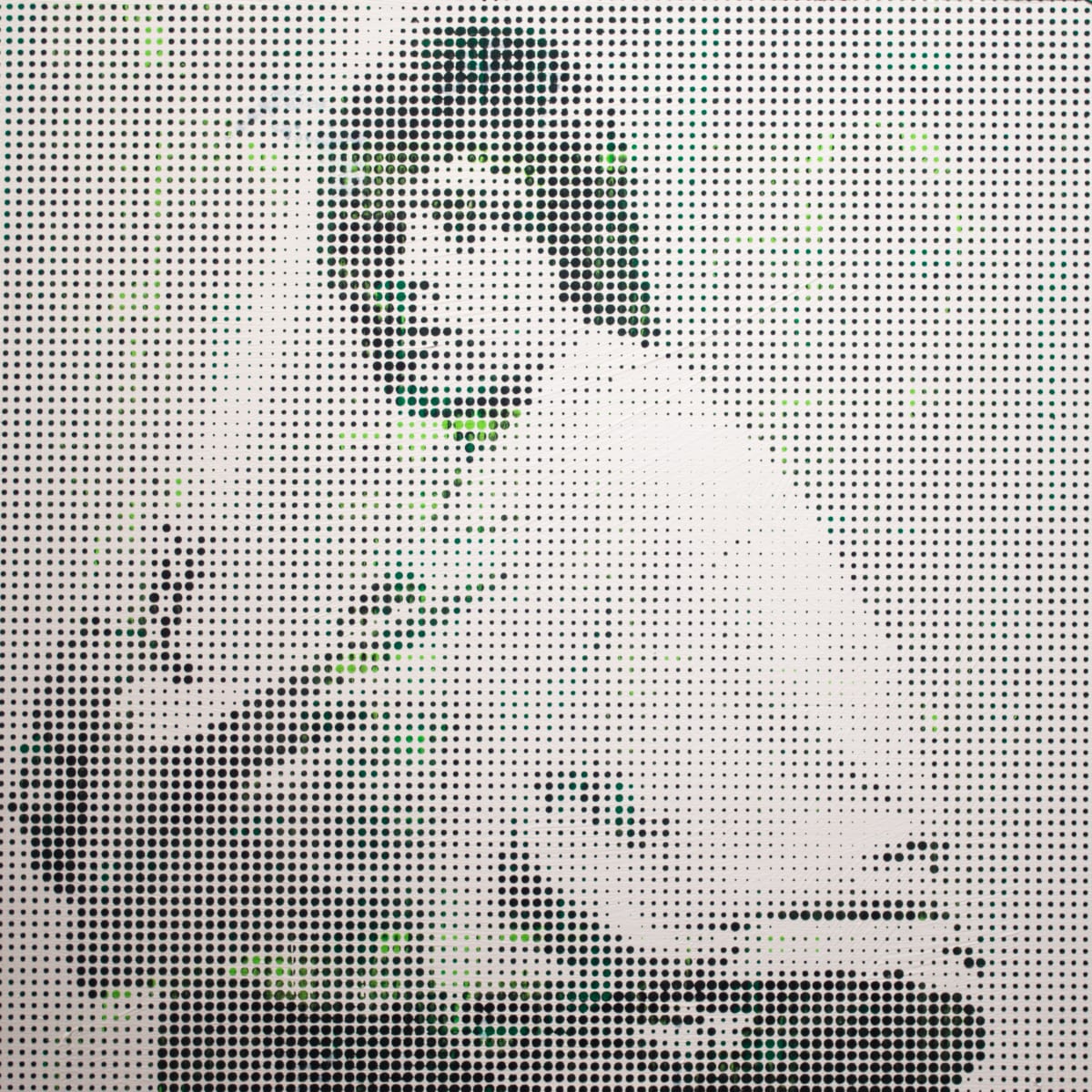 Luke Skywalker I, Image 1.