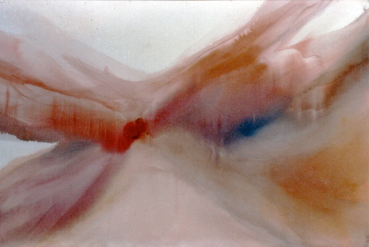 Fragile Flight by Brett Newton 