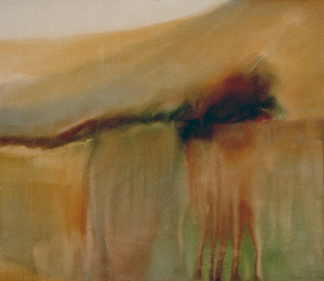 Reflection October Bay by Brett Newton 