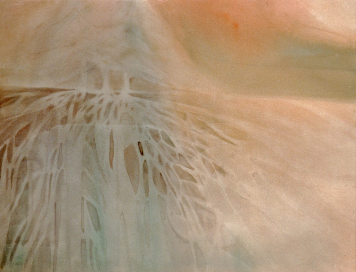 Deep Memory by Brett Newton 