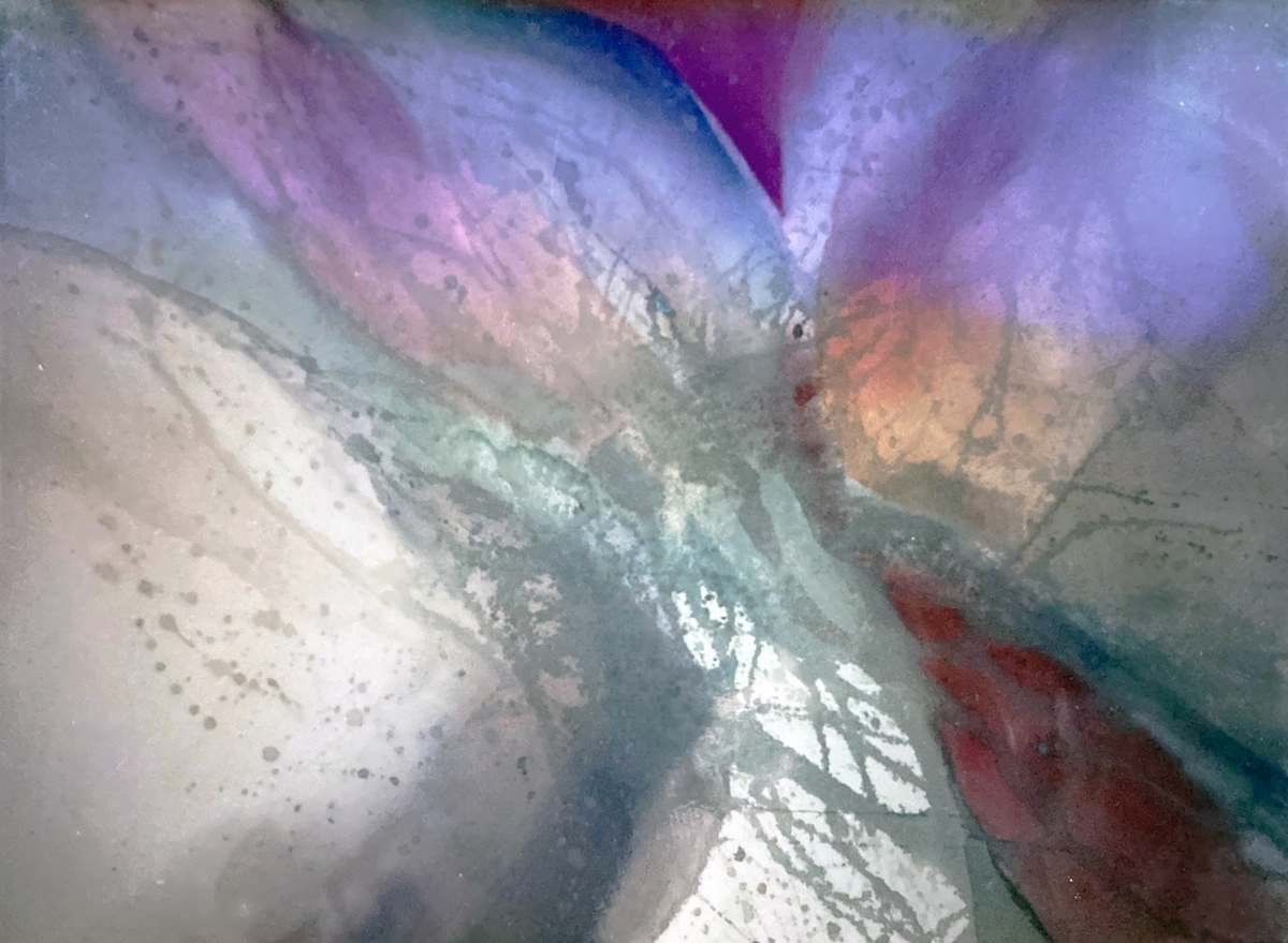 Sweet and Strong by Brett Newton 