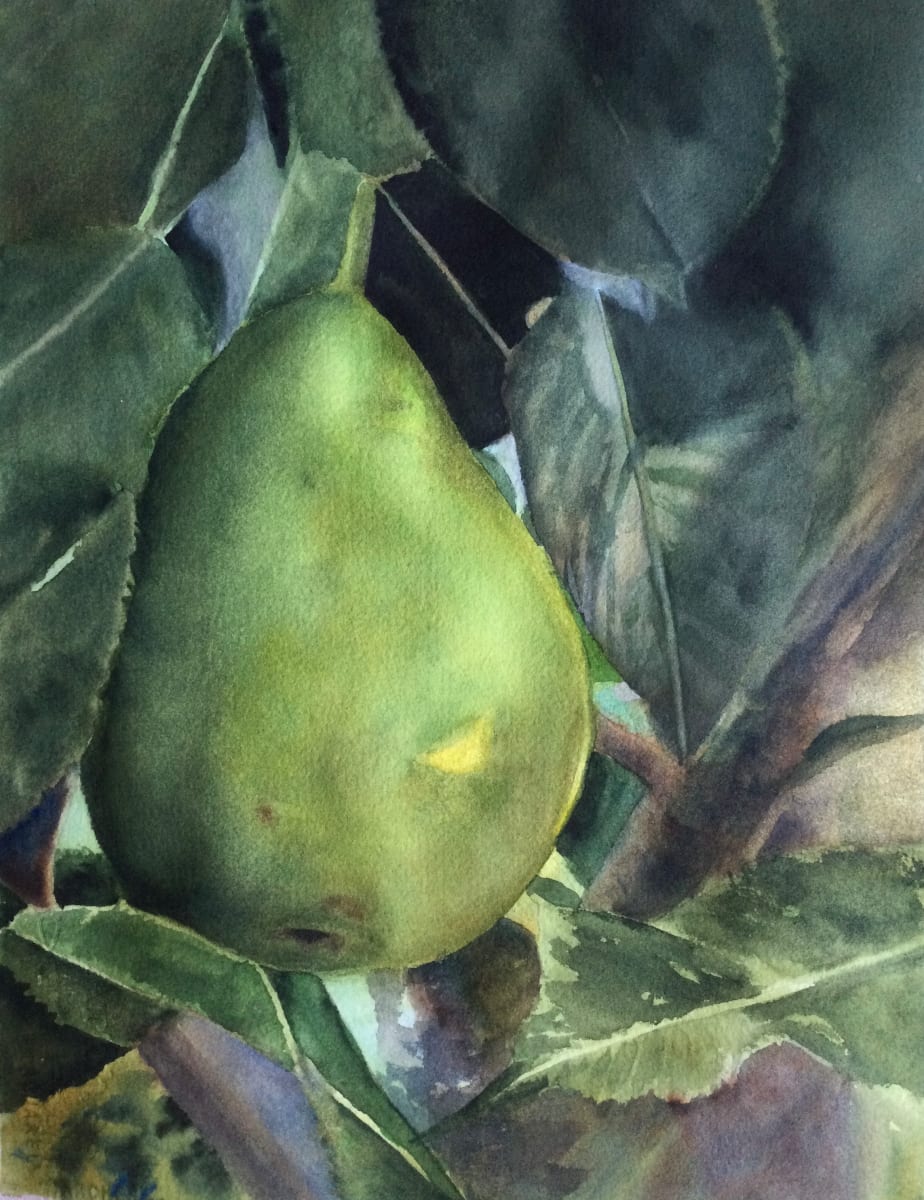 First Pear 