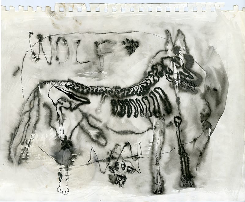 Untitled w/ Wolf Skeleton, Image 1.