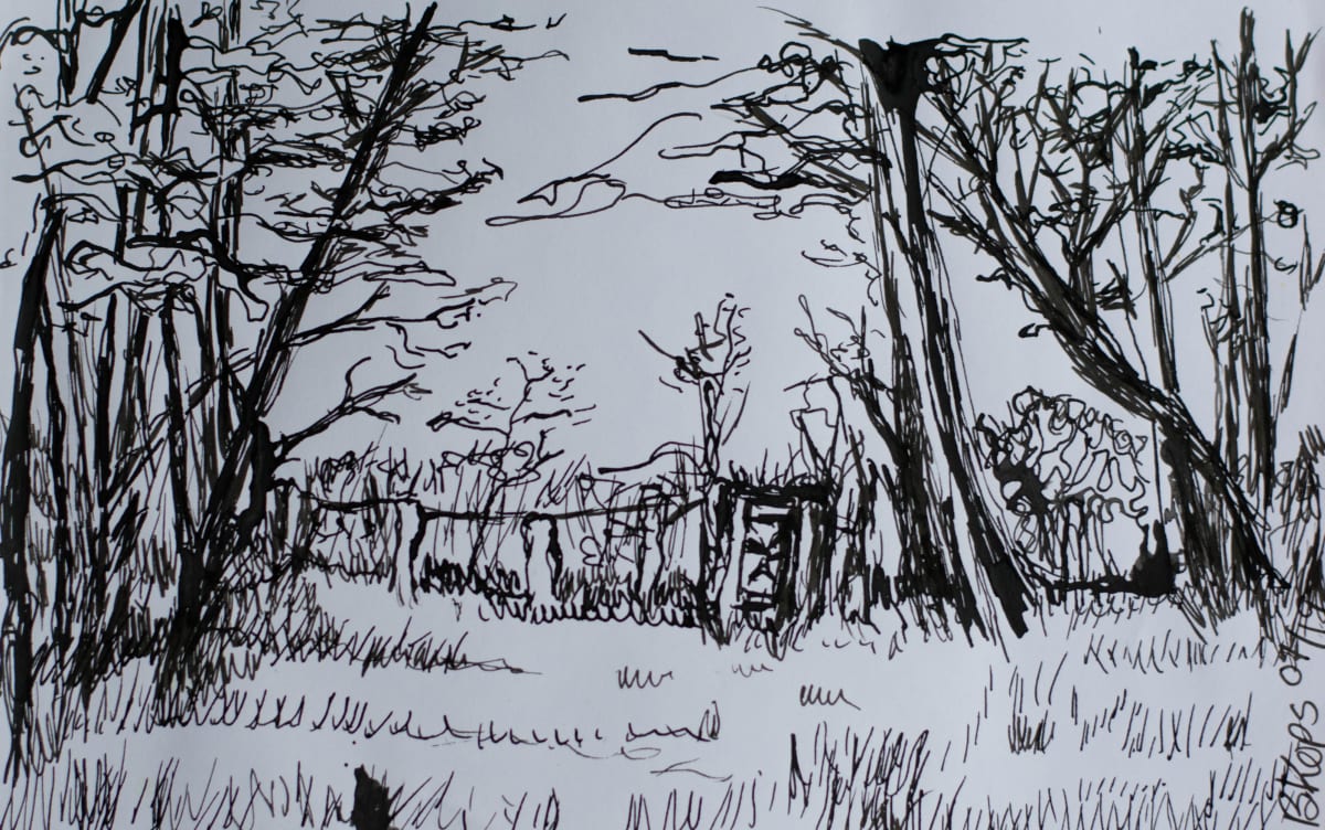 Malaspina meadows in ink by Barbara Kops 