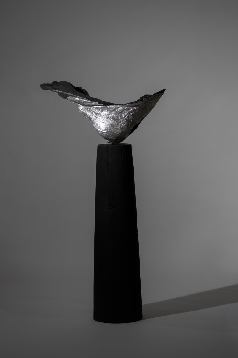 Relic - Silver by Thomas Bucich 