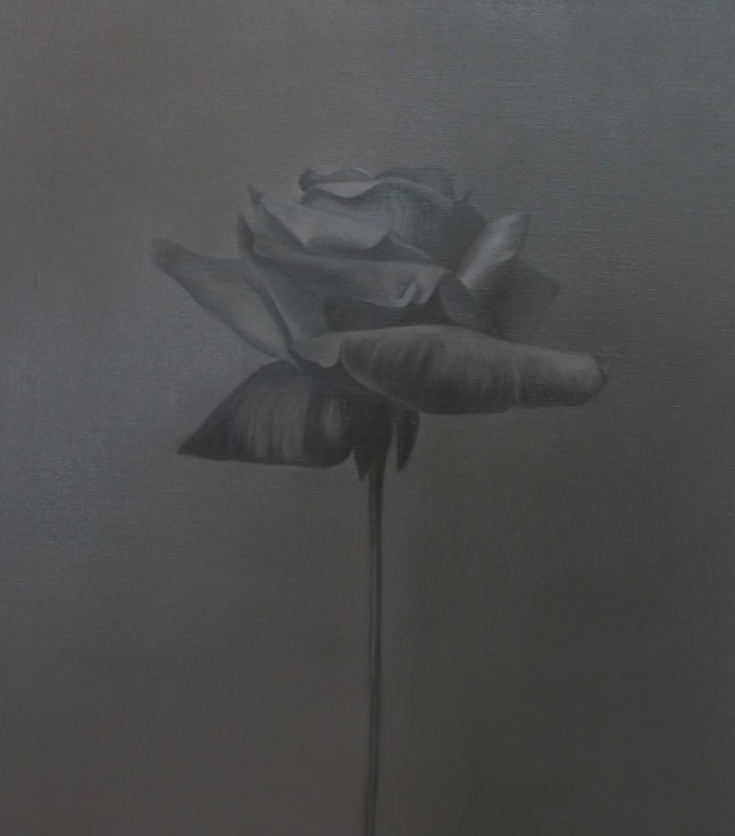 Dark Silver by Leanne  Thomas 